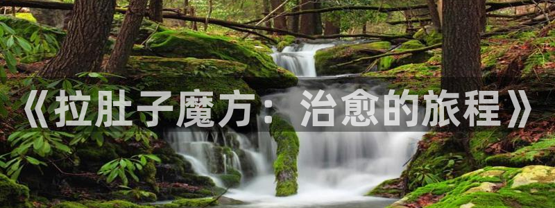 动漫天堂下载官方