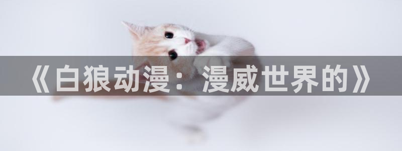 妹天堂动漫在线