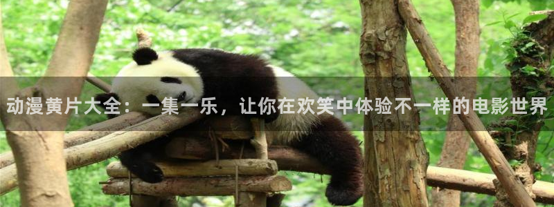 天堂动漫网站官网