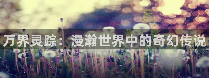 番剧推荐动漫天堂.