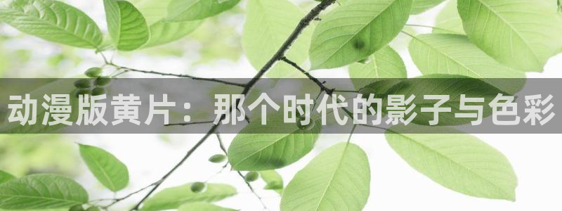 动漫天堂下载1.8版