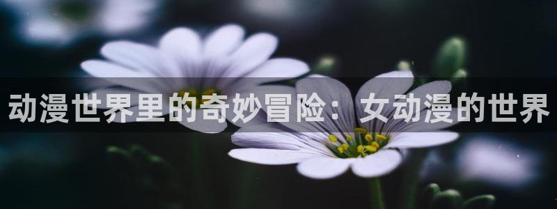 禁漫天堂动漫在线看