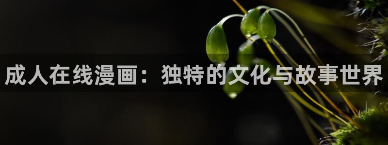 亚洲天堂动漫网站